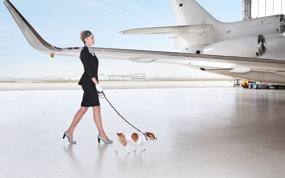 Women is heading towards the plane with her pet dog